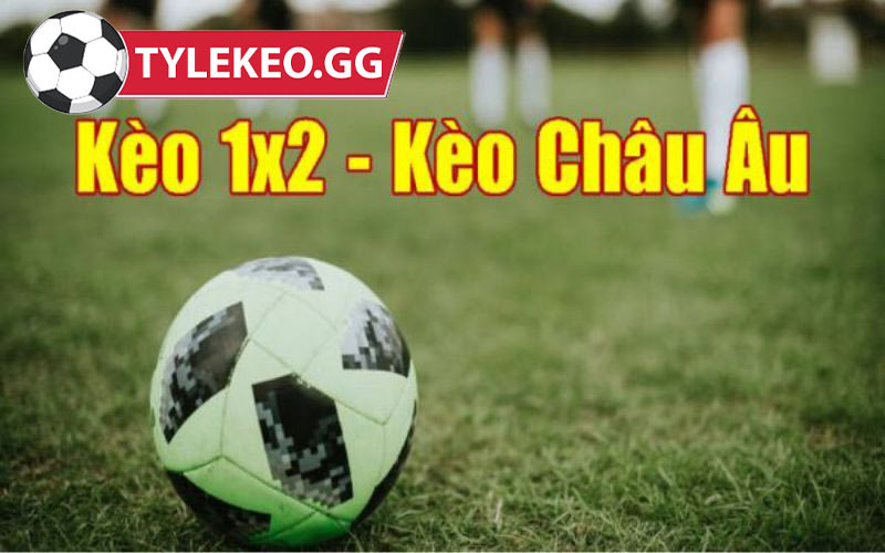 Những ký hiệu và thuật ngữ trong kèo châu âu là gì