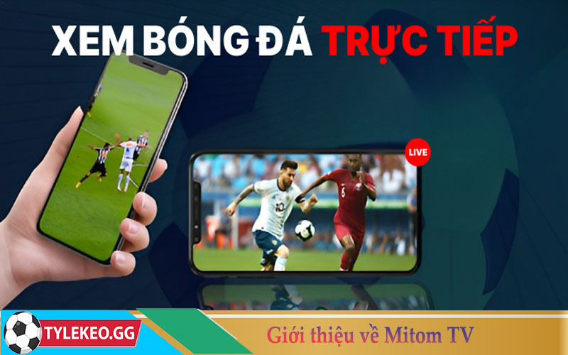 Giới thiệu về Mitom TV