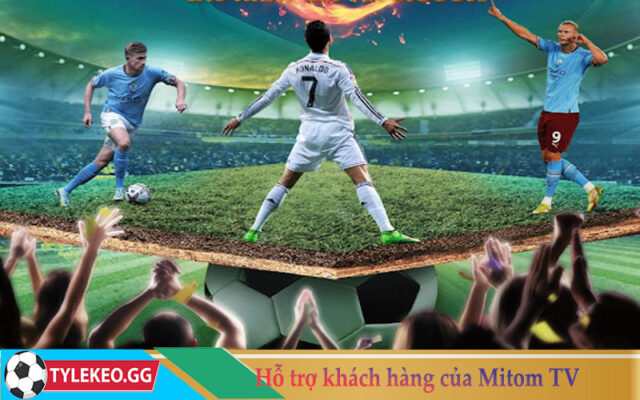 Hỗ trợ khách hàng của Mitom TV