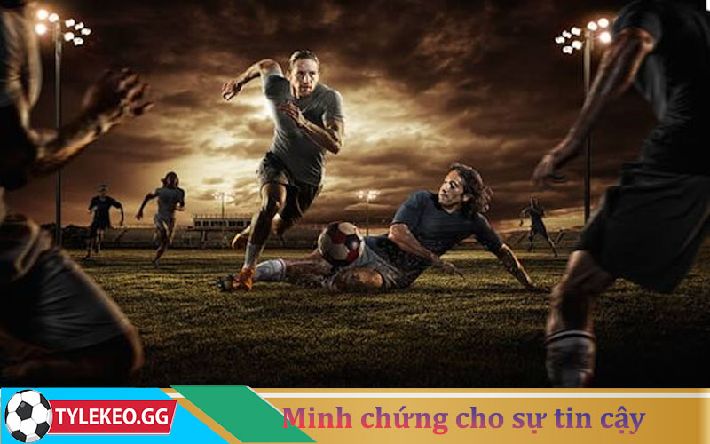 Minh chứng cho sự tin cậy